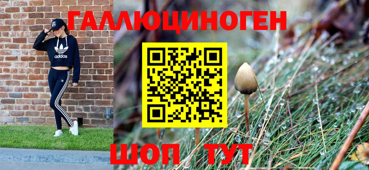 Псилоцибиновые грибы GOLDEN TEACHER  Вход с VPN  Новый Уренгой 