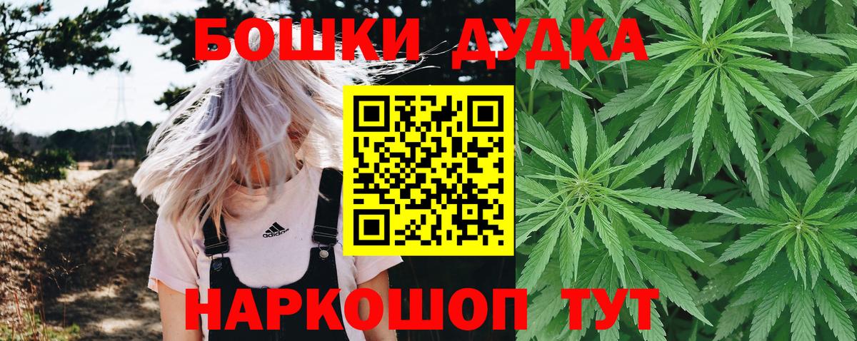 Каннабис сатива Новый Уренгой